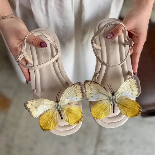 Sandal butterfly (Yellow)