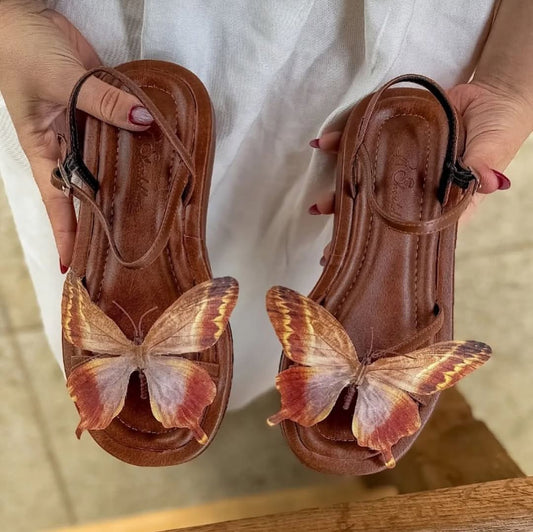 Sandal butterfly (Brown)
